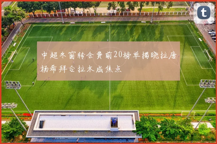 中超冬窗转会费前20榜单揭晓拉唐杨希拜合拉木成焦点