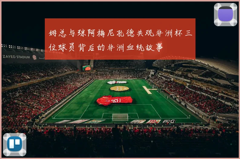 姆总与琼阿梅尼孔德共观非洲杯三位球员背后的非洲血统故事