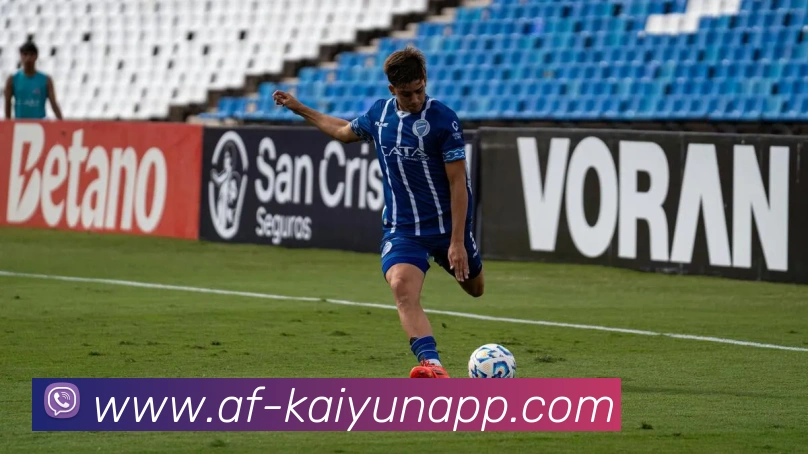 开云体育平台生态图